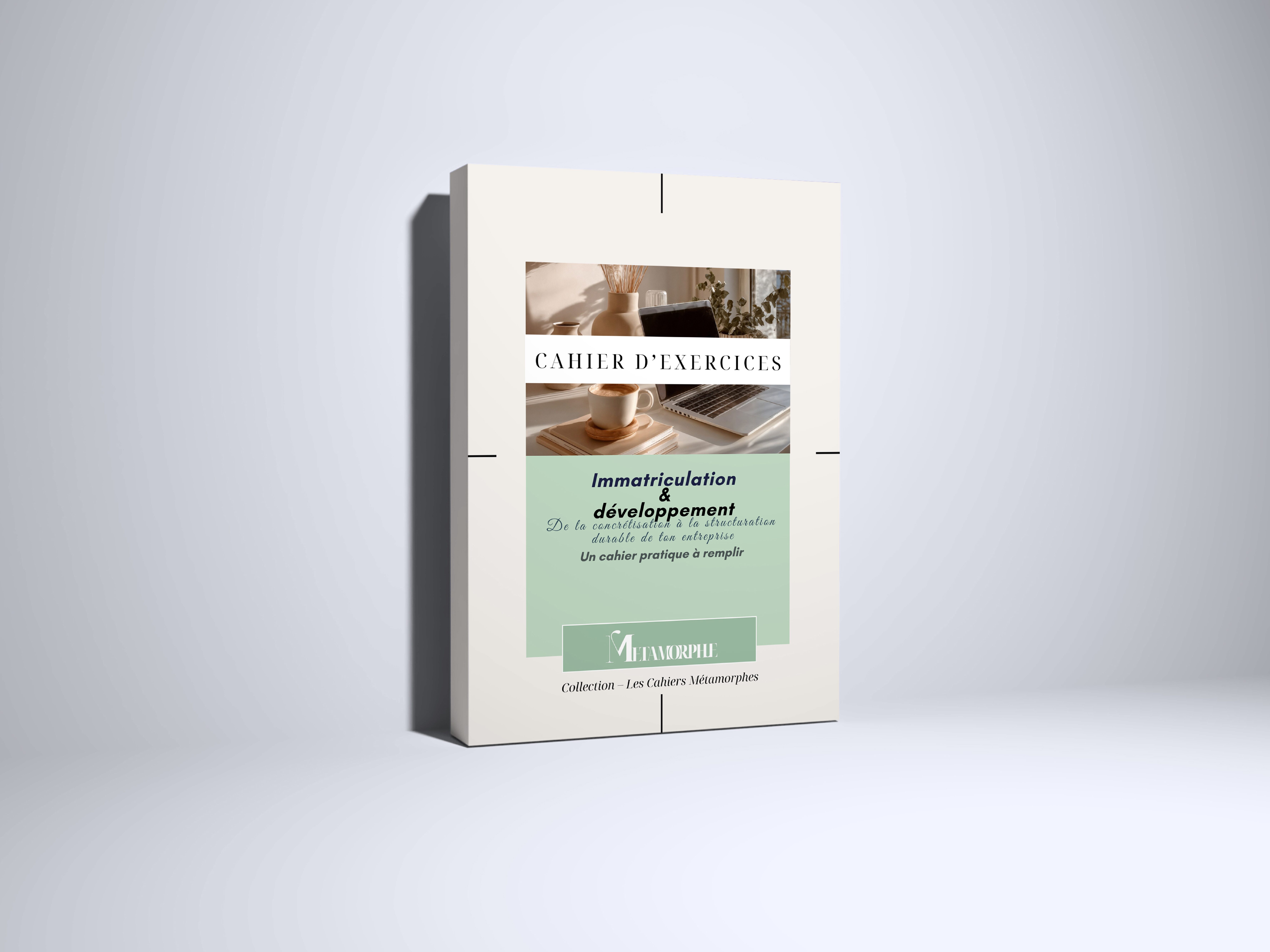 CAHIER D'EXERCICES 3 - De l’entrepreneuriat intuitif à l’organisation efficace